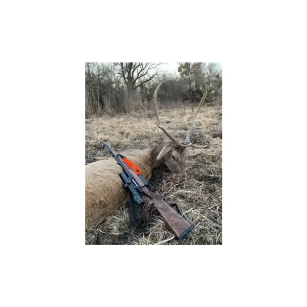 Sauenhammer SH2 Drivenhunt 3